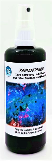 T5_Karmafreiheit